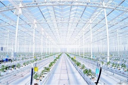 利用物联网技术，补偿传统农业弊端的现代农业，对植株的生长环境需求进行“精确”的定量，对产量进行有效率的制约，对质量更好的把关，农业物联网由感知层、传输层和处理层三部分构成